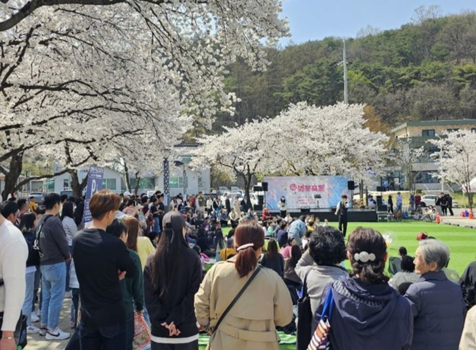 제천시, 제28회 청풍호 벚꽃축제 성료… 주최측 추산 19만명 찾아
