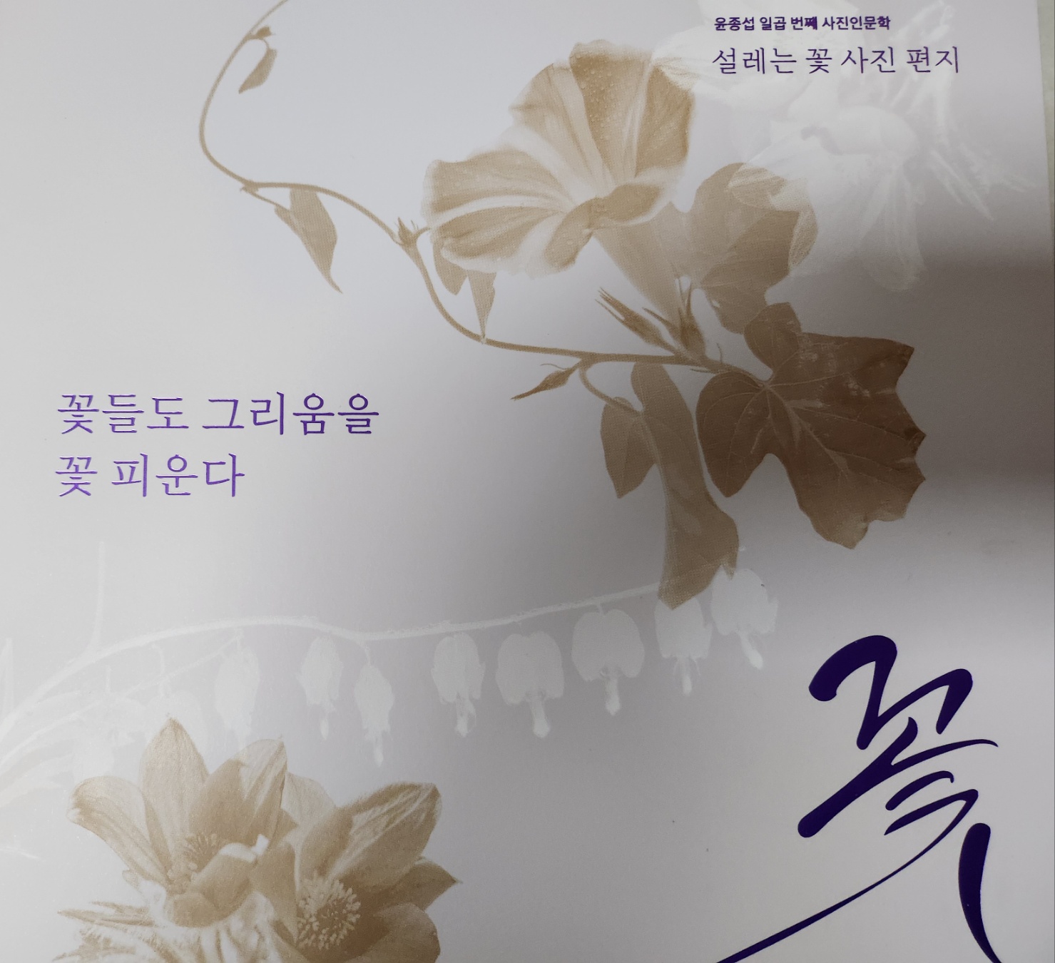 윤종섭 전 제천문화원장, 일곱번째 사진인문학 칼럼집 ‘꽃’ 출간