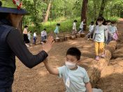 홍광유치원, ‘솔솔솔 다람쥐 숲’ 체험